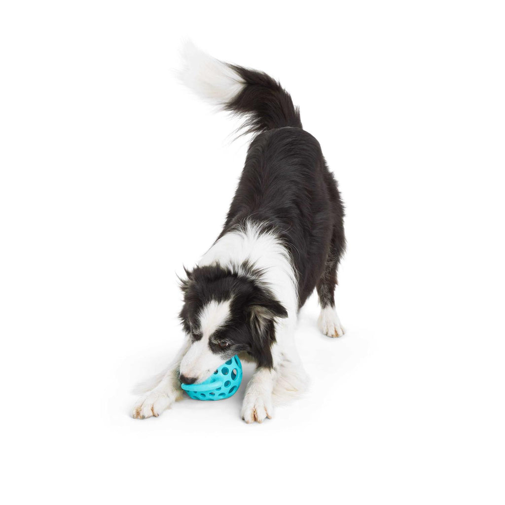 Dog Toy with Handle P5549