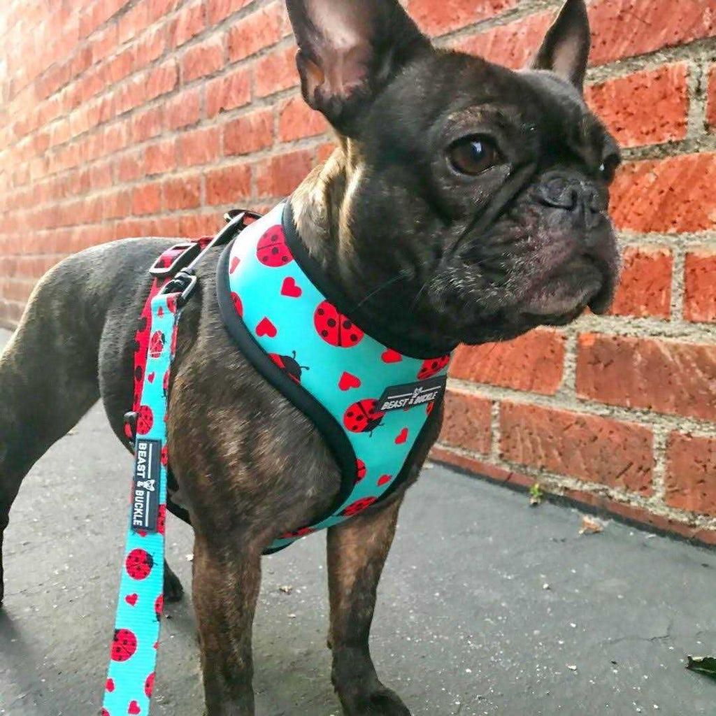 Reversible Dog Harness A4879