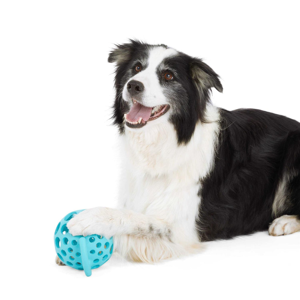 Dog Toy with Handle P5549