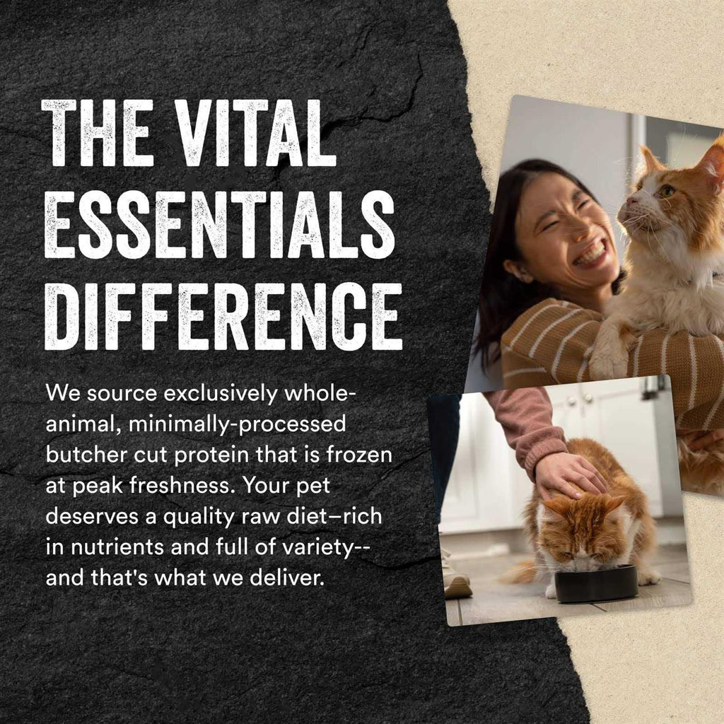 Freeze-Dried Raw Cat Food P4690