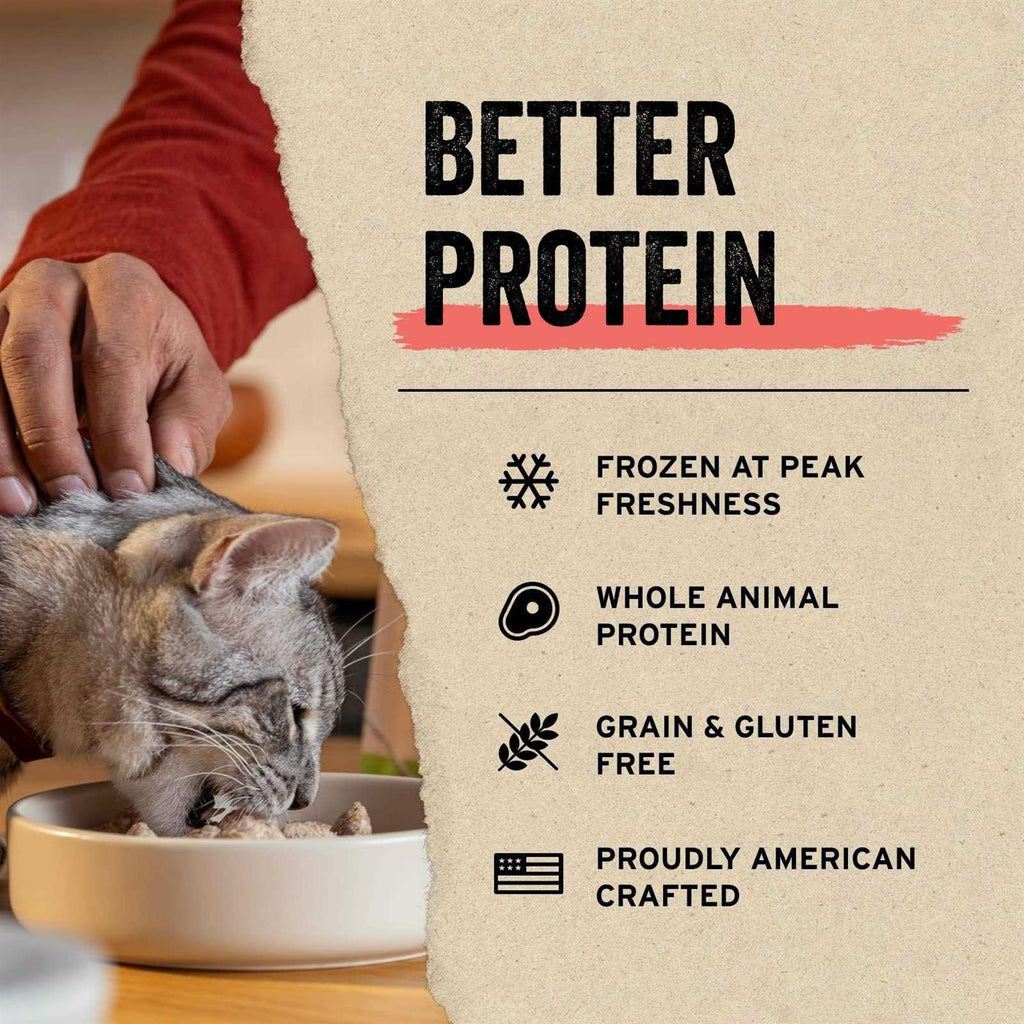 Freeze-Dried Raw Cat Food P4690
