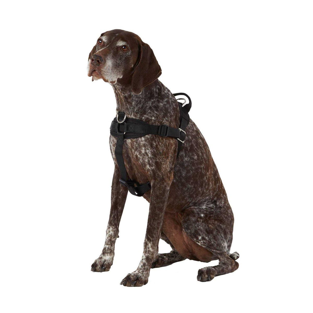 No Pull Dog Harness J265100