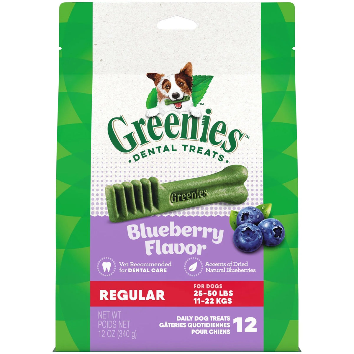 Blueberry Flavor Dental Treats for Dogs 12 oz Pouch R1004