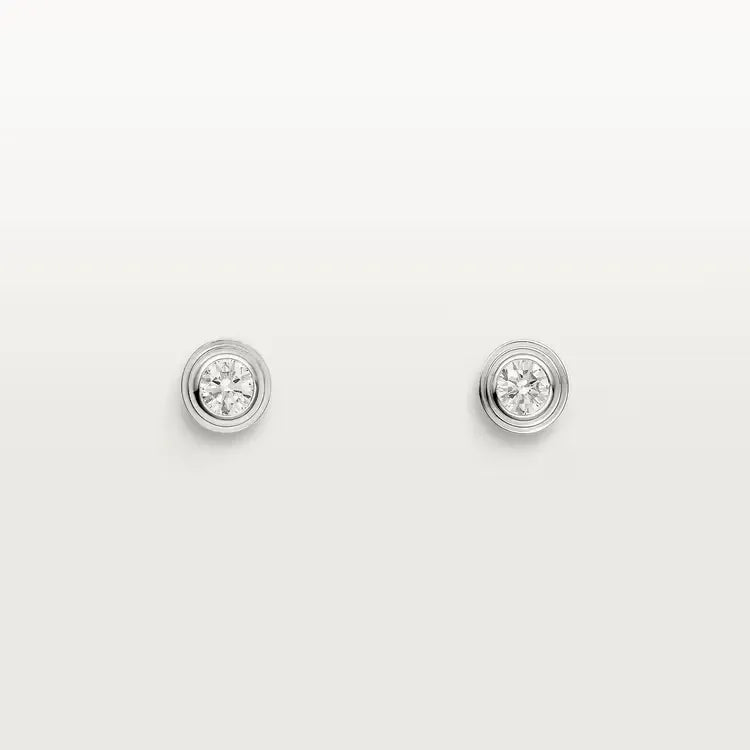 Earrings T5684